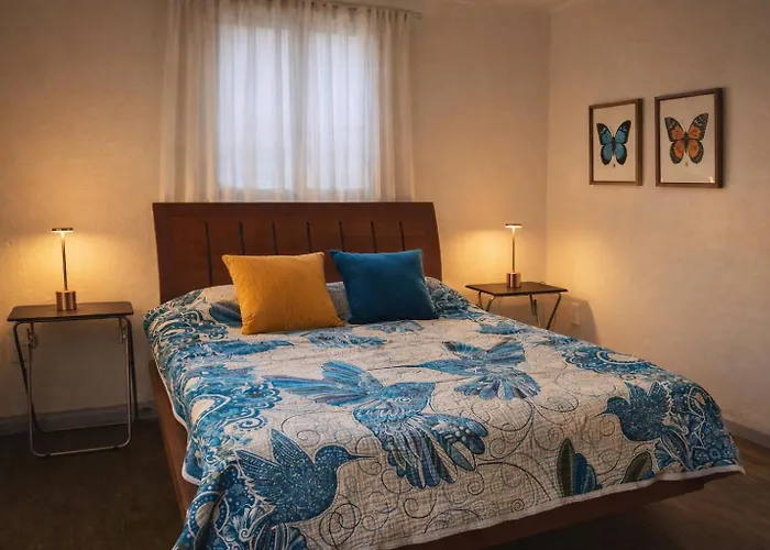 Casa Mexicaníssima 4br, 4 To 12 Guests Coyoacán, Familias, Grupos Habitación en casa particular *