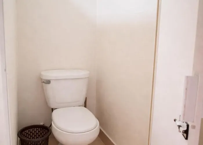 Casa Mexicaníssima 4br, 4 To 12 Guests Coyoacán, Familias, Grupos Habitación en casa particular *